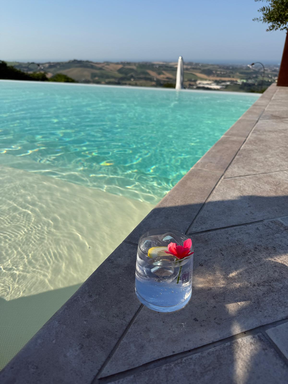 la-pedrosa-piscina(8)